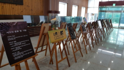 [충청N] 도청 동호회 회원들이 창작한 나무 활용 예술작품 전시회