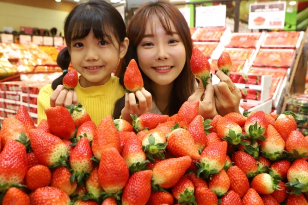 18일 오전 롯데마트 서울역점에서 모델들이‘킹스베리’ 딸기를 소개하는 모습. 사진= 롯데마트