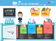 [통계N] 6월 소비자물가 0.7%↑... 택시·시외버스료 오르고 학교급식비 내려