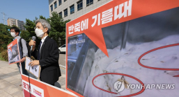 '곰팡이 던킨도너츠' 논란에 누리꾼들 