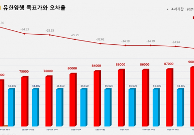<증권리포트 분석-2021년7월> 그래픽 뉴스③ 적중 애널리스트 전무 종목