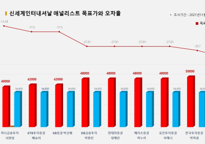 <증권리포트 분석-2021년11월> 그래픽 뉴스 ⑦적중 애널리스트 전무 종목