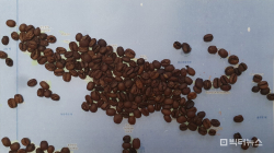 <신진호의 커피노트> ⑦다크 초콜릿 맛이 풍부한 파푸아 뉴기니 고고무