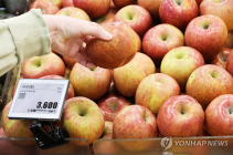 '농축산물 가격안정자금 무제한 투입' 누리꾼 