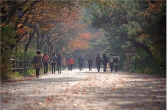 사진 제공=서울시