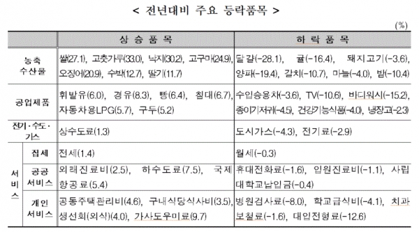 전년대비 주요 등락품목(표=통계청)