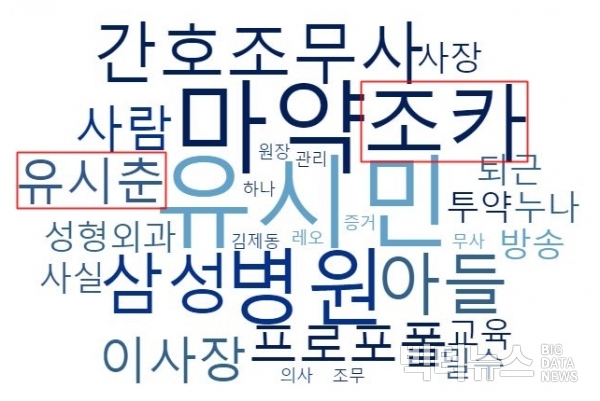 워드클라우드로 나타낸 '이부진' 연관어. 분석대상은 '이부진 프로포폴' 관련 20~21일 네이버 뉴스와 댓글.