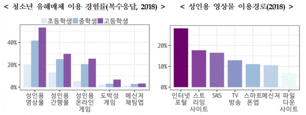 청소년 유해매체 이용 경험률 및 성인용 영상물 이용경로(그림=여성가족부)