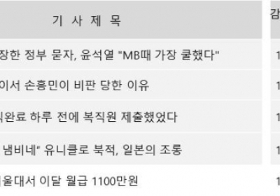 친여 네티즌, 손흥민 향해 