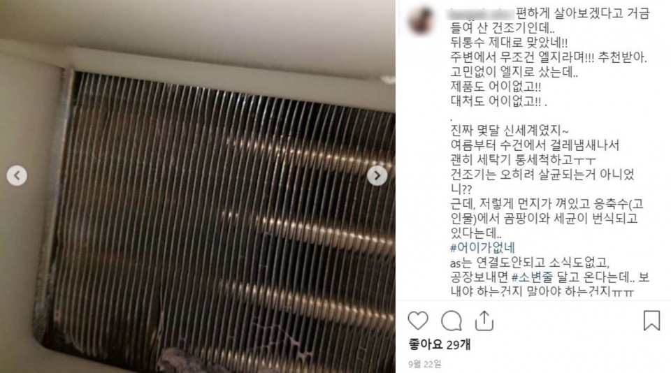 사진=한 누리꾼이 인스타그램에 올린 LG건조기 먼지 사진 (출처:인스타그램 캡쳐)