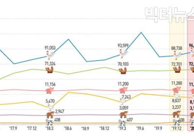 [통계N] 한우·육우 사육 3.4%↑... 1분기 기준 역대 최대