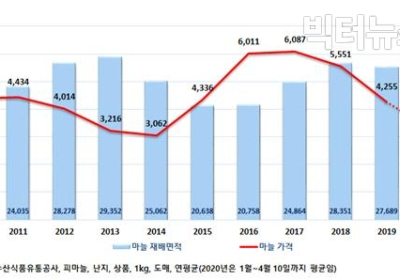 [통계N] 작년 가격 폭락으로 재배면적 마늘 8.4%↓·양파 32.6%↓