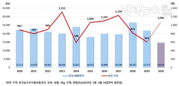 그림=통계청 '2020년 마늘, 양파 재배면적조사(2020.4.20)' 양파 가격 및 재배면적