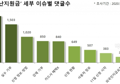 긴급재난지원금 