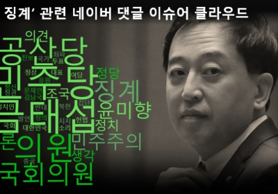 금태섭 징계 논란, 네이버 댓글 