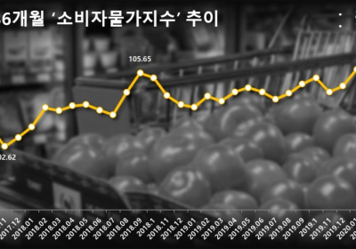 [통계N] 7월 소비자물가 전년比 0.3%↑... 코로나19 여파 후 회복세 지속