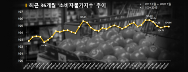 [통계N] 7월 소비자물가 전년比 0.3%↑... 코로나19 여파 후 회복세 지속