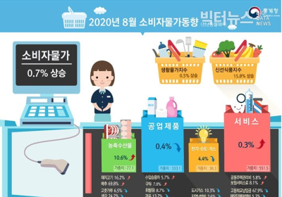 [통계N] 8월 소비자물가, 배추37.3%↑ㆍ상추 57.5%↑ㆍ파 38.5%↑