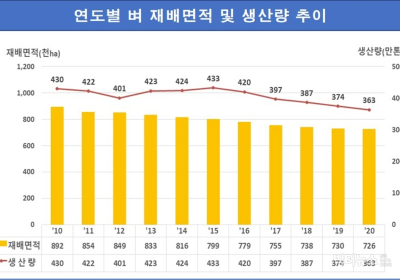 [통계N] 올해 쌀 생산량, 전년대비 3.0% 감소한 363만 1천톤 예상