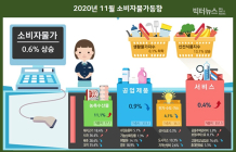 [통계N] 소비자물가, 전년대비 0.6%↑ VS 전월대비 0.1%↓