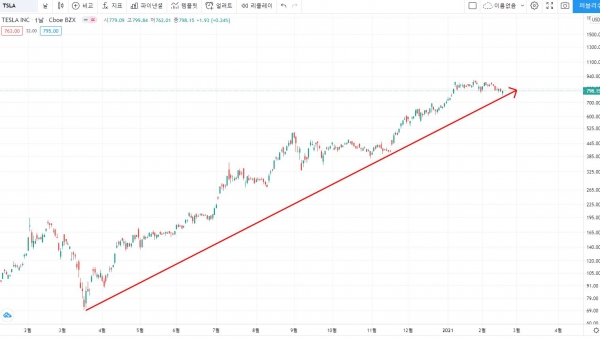 테슬라 주가 일봉차트