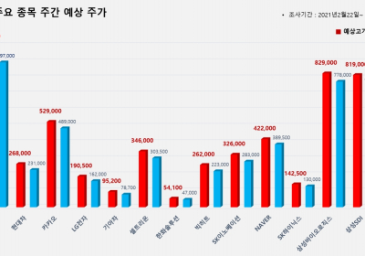 빅터뉴스, 15종목 주간 주가 예측모델 공개