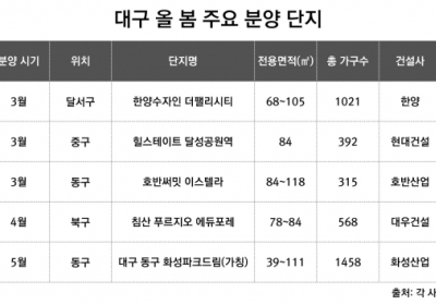 올해도 대구 아파트 분양시장 '후끈'