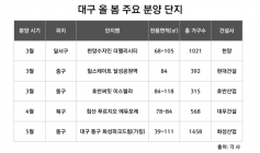 올해도 대구 아파트 분양시장 '후끈'