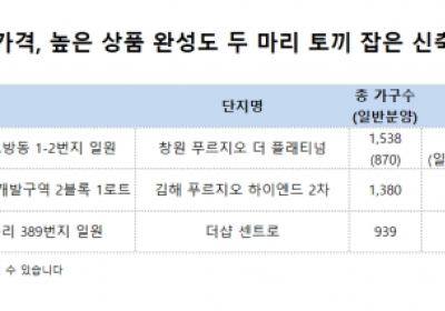 신축 아파트 청약시장서 인기 높아
