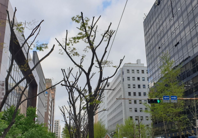 <타깃 빗나간 증권 리포트> ② 코로나19 장기화로 목표가 정확도 떨어져