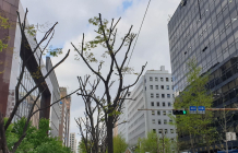 <타깃 빗나간 증권 리포트> ② 코로나19 장기화로 목표가 정확도 떨어져