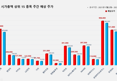 <빅터뉴스 주가 예측> 코스피 시가총액 상위 15선_11월 29일