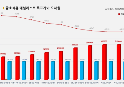 <증권리포트 분석-2021년11월> 그래픽 뉴스 ⑥적중 애널리스트 전무 종목