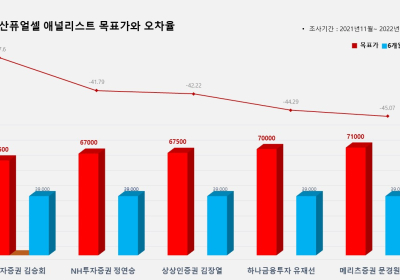 <증권리포트 분석-2021년11월> 그래픽 뉴스 ⑫적중 애널리스트 전무 종목