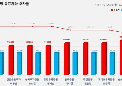 <증권리포트 분석-2022년5월> 그래픽 뉴스 ③적중 애널리스트 전무 종목