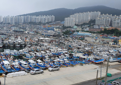 여수 국동항 2030년까지 어항시설 확충