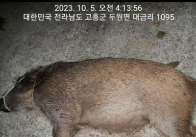 고흥군, 유해야생동물 포획량 전년比 77% 증가