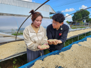 <라오스 커피 심장부, 볼라벤 고원을 가다>  ③ 소규모 자작농의 일터, 커피 가든(Coffee Garden)