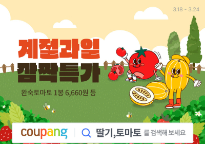 쿠팡, 로켓프레시 과일 900여톤 할인 행사