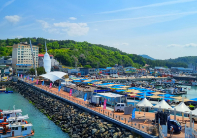 전남 강진군, 새로워진 놀토수산시장 12일 개장
