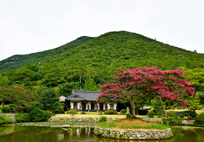 진도 운림산방 배롱나무, 산림청 올해의 나무로 선정