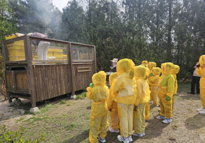 KB국민은행, 어린이 꿀벌 체험 프로그램 실시
