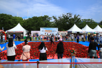 제15회 곡성세계장미축제 성황리에 마쳐