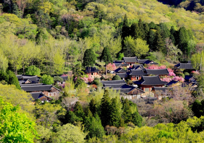 순천시, 2025 세계유산축전 개막식 본격적 준비 돌입