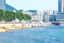 전남 해수욕장 5일부터 순차 개장