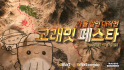 이마트, 9월 ‘고래잇 페스타’ 개막