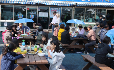 추석 명절에 강진 몰린 관광객