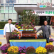 보성군 24일부터 3일간 축제에 물든다
